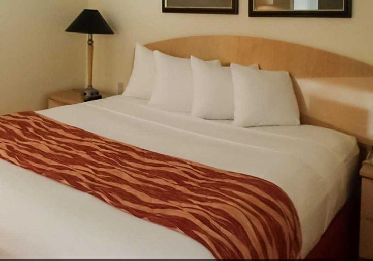 Rodeway Inn South Miami - Coral Gables מראה חיצוני תמונה